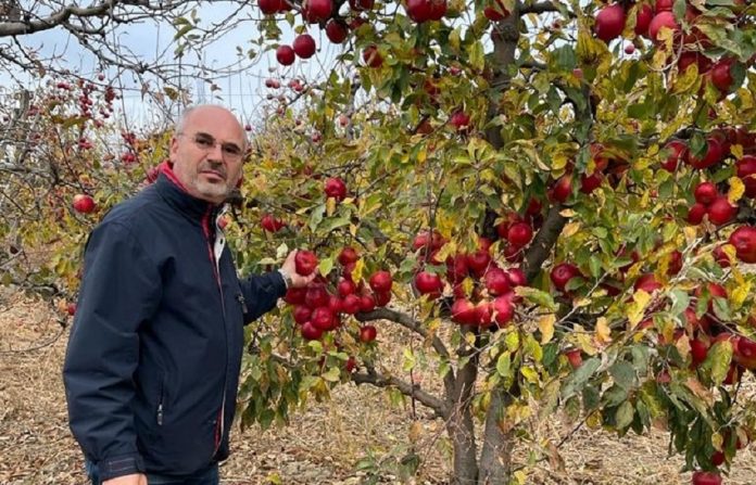 Maricel Popa ar fi trebuit sa reiinfiinteze o livada de mere