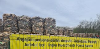 Gigantul Ikea are dosar penal la Iași. Garda Forestieră a depus sesizare pentru tăieri ilegale de pădure depozit Ikea Madarjac