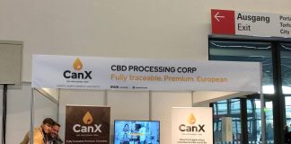 Percheziții la o multinațională în Iași. Instalații de prelucrat canabis descoperite de procurori CanX