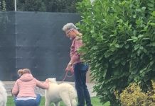 Fostul primar condamnat la aproape 20 ani de temniţă, lăsat sub control judiciar!