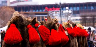 Cele mai frumoase datini şi obiceiuri de iarnă, prezentate la Palas, de 20 de alaiuri folclorice din zona Moldovei. Pentru cadouri inspirate, vino și la târgul ,,Atelierul Artistului”! obiceiuri de iarna Palas