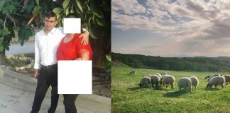 Balada „Mioriţa”, la Iaşi! Doi ciobani, arestaţi pentru că au vrut să-l omoare pe un al treilea! FOTO Nicusor Balauca