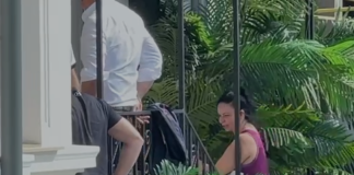 Mafia din Asigurări tremură după perchizițiile la avocata Poroșnicu. Fraudă cu milioane de euro din despăgubiri Poroșnicu la percheziții