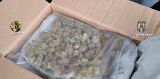 Suspect de trafic de droguri, săltat de „mascaţi”! Ieşeanul a ajuns după gratii! FOTO