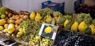 Weekend la Palas: târgul „Gusturile toamnei” cu delicii culinare şi activități variate, dar şi tiroliană pentru copii și surprize speciale, de Ziua Armatei