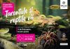 „Expoziția Educativă de Tarantule și Reptile Vii” revine la Palas cu exemplare noi și spectaculoase!