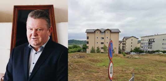 Constantin Deleanu-Cotnari și terenul vândut