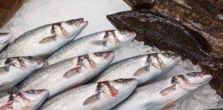 „Ţeapă” cu peşte, la Iaşi! „Gaură” de peste 100.000 de lei făcută de un bărbat! (EXCLUSIV) Peste