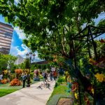 FLORALL- Iulius Town Timișoara