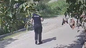 poliția în anchetă în pădurea Dobrovăț