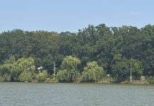 Tranzacție suspectă de fraudă la Ciric. Proprietate de milioane vândută cu o zi înainte de insolvență proprietatea vandută de Chambon la Ciric