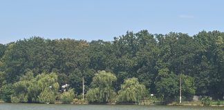 Tranzacție suspectă de fraudă la Ciric. Proprietate de milioane vândută cu o zi înainte de insolvență proprietatea vandută de Chambon la Ciric