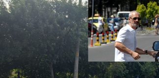 Tupeul afaceristului care a umplut Iașul de construcții ilegale: vrea să ridice o clădire într-un parc teren Flux - Ciurchi pe care Cheșcu vrea să ridice cladirea de birouri și Gheorghe Cheșcu