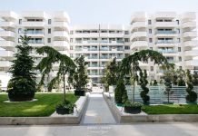 Animale de companie fericite în apartament: Soluții de amenajare pentru prietenii blănoși