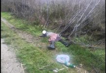 Șocant! Bătrână din judetul Vaslui ucisă și mâncată de o haită de câini