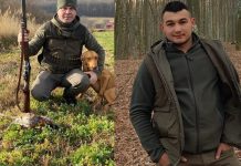 Jaf uriaș în pădurea Dobrovăț: lupul paznic la oi. Pădurarii au furat cot la cot cu hoții Irimia Panainte și Andrei Mitrea