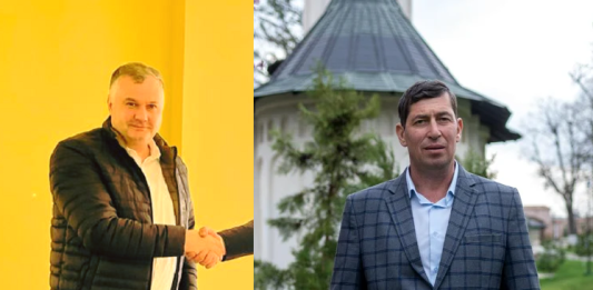 Marcel Bîrsan și Neculai Șchiopu