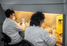 Lovitură pentru sănătatea ieșeană: zeci de medici vor rămâne fără posturi în prima zi din 2026 Medici Iași