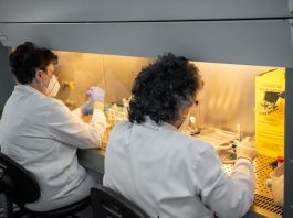 Lovitură pentru sănătatea ieșeană: zeci de medici vor rămâne fără posturi în prima zi din 2026 Medici Iași