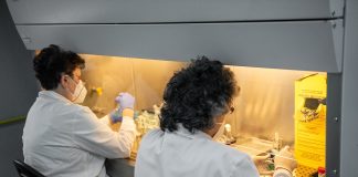 Lovitură pentru sănătatea ieșeană: zeci de medici vor rămâne fără posturi în prima zi din 2026 Medici Iași