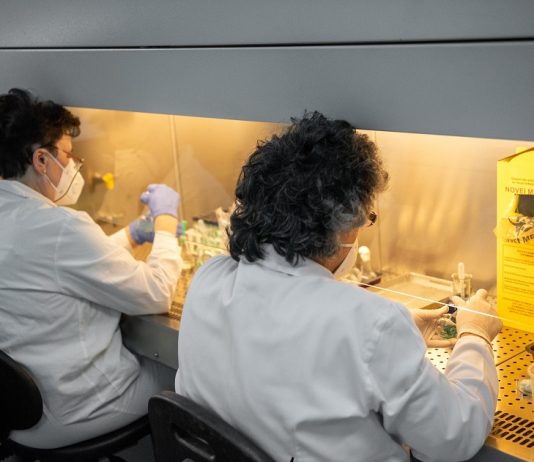 Lovitură pentru sănătatea ieșeană: zeci de medici vor rămâne fără posturi în prima zi din 2026 Medici Iași