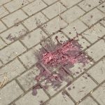 balta de sânge conflict Corduneanu