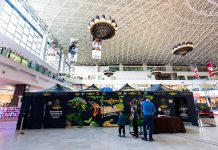 „Expoziția Educativă de Tarantule și Reptile Vii” revine la Palas cu exemplare spectaculoase Expoziția de tarantule și reptile vii - Palas