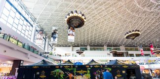 „Expoziția Educativă de Tarantule și Reptile Vii” revine la Palas cu exemplare spectaculoase Expoziția de tarantule și reptile vii - Palas