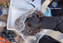 Prinşi în trafic cu 3,5 kg de canabis, la Iaşi! Anul Nou le-a adus „brăţări”… de oţel!