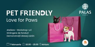 Palas și Palas Campus au devenit pet friendly. Un eveniment special, cu demonstrații canine și ateliere educative, în acest weekend