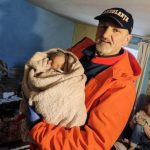 asistentul medical si nou-nascutul