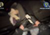 Reţea de trafic de droguri, destructurată la Iaşi! Cei trei au fost prinşi în flagrant şi au fost arestaţi!