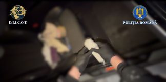 Reţea de trafic de droguri, destructurată la Iaşi! Cei trei au fost prinşi în flagrant şi au fost arestaţi!