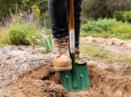 Cel mai ciudat proces penal: ieșean achitat de judecători după ce a fost acuzat că… a săpat o groapă!