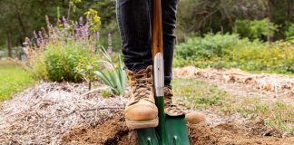 Cel mai ciudat proces penal: ieșean achitat de judecători după ce a fost acuzat că… a săpat o groapă!