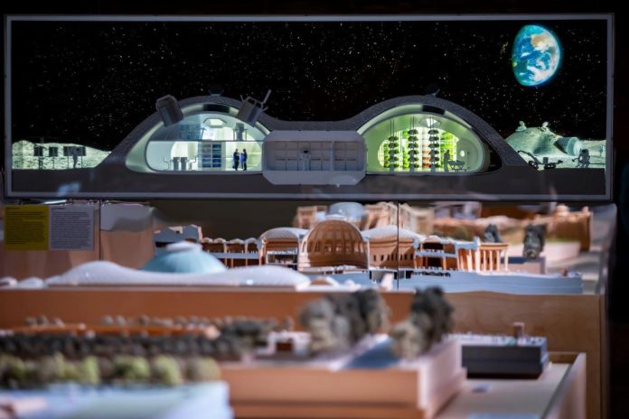 WhatsApp Image 2026-04-06 at 17.20.28