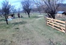 Video! Scene de violență extremă într-o comună din Iași. Un bărbat a fost snopit în bătaie cu bâtele de doi indivizi