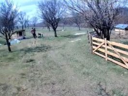 Video! Scene de violență extremă într-o comună din Iași. Un bărbat a fost snopit în bătaie cu bâtele de doi indivizi