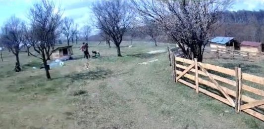 Video! Scene de violență extremă într-o comună din Iași. Un bărbat a fost snopit în bătaie cu bâtele de doi indivizi