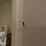 distrugerile de la restaurantul Kalipso