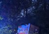 Accident rutier în comuna Butea. Un camion s-a izbit într-un copac