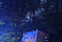 Accident rutier în comuna Butea. Un camion s-a izbit într-un copac