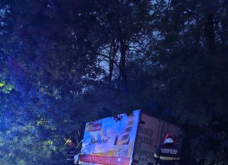 Accident rutier în comuna Butea. Un camion s-a izbit într-un copac