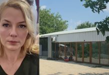 Alina Damean și sectia Apa cu Duh scoasa la vânzare de executor