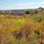 terenul din Păcurari pe care vrea să construiască Avătăji-