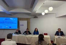 DIALOGUL SOCIAL ÎN EDUCAȚIE – PILON FUNDAMENTAL AL DREPTURILOR EUROPENE