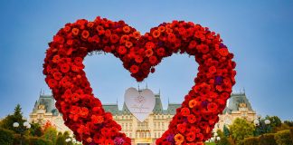 Palas te invită la „Pune mâna pe chitară”, concert live de muzică folk printre creații florale inedite