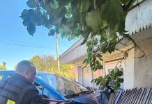 FOTO! Accident rutier violent în comuna Ciurea. O șoferiță s-a oprit cu mașina într-un gard